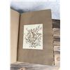 Image 27 : Victorian Botanist Algae Herbarium Specimen Book