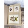 Image 28 : Victorian Botanist Algae Herbarium Specimen Book