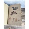 Image 34 : Victorian Botanist Algae Herbarium Specimen Book