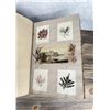 Image 37 : Victorian Botanist Algae Herbarium Specimen Book