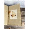 Image 39 : Victorian Botanist Algae Herbarium Specimen Book