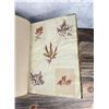 Image 44 : Victorian Botanist Algae Herbarium Specimen Book