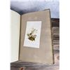 Image 46 : Victorian Botanist Algae Herbarium Specimen Book