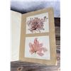 Image 7 : Victorian Botanist Algae Herbarium Specimen Book