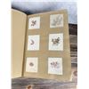 Image 9 : Victorian Botanist Algae Herbarium Specimen Book