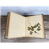 Image 11 : Victorian Botanist Herbarium Specimen Book