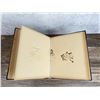 Image 13 : Victorian Botanist Herbarium Specimen Book
