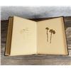 Image 15 : Victorian Botanist Herbarium Specimen Book