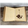Image 17 : Victorian Botanist Herbarium Specimen Book