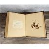 Image 20 : Victorian Botanist Herbarium Specimen Book