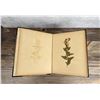 Image 6 : Victorian Botanist Herbarium Specimen Book