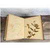Image 7 : Victorian Botanist Herbarium Specimen Book