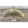 Image 1 : Resin Scrimshaw Whale Tooth