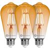 Image 1 : Box of 10 E26 Base 40W Vintage Style Edison Light Bulbs/Incandescent Bulbs for Home - New