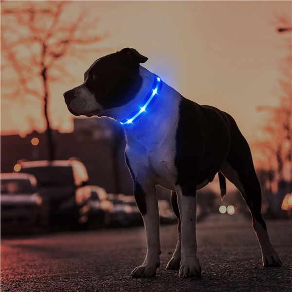 3 Masbrill LED Light-Up Dog Collars/Safety Collars - Size Medium (See Size Chart); Blue - Brand New