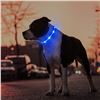 Image 1 : 3 Masbrill LED Light-Up Dog Collars/Safety Collars - Size Medium (See Size Chart); Blue - Brand New