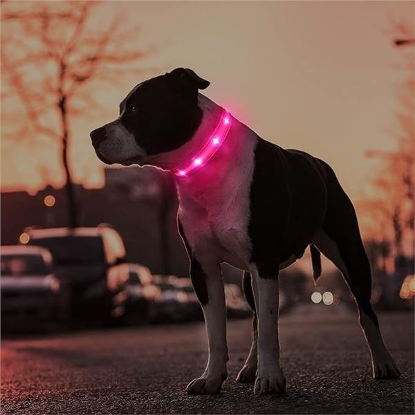 3 Masbrill LED Light-Up Dog Collars/Safety Collars - Size Small (See Size Chart); Pink - Brand New
