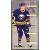 1993-94 FLEER POWERPLAY DEREK PLANTE ROOKIE CARD