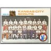 Image 1 : 1975-76 O-PEE-CHEE KANSAS CITY SCOUTS