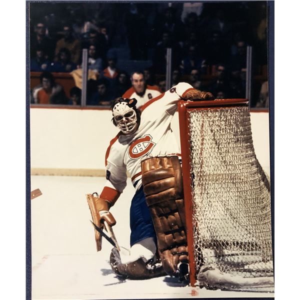KEN DRYDEN (HOF) 8x10 GLOSSY