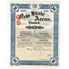 Image 1 : South Africa. New State Areas, Ltd., 1925 I/U Share Certificate with Dividend Coupons Attached.