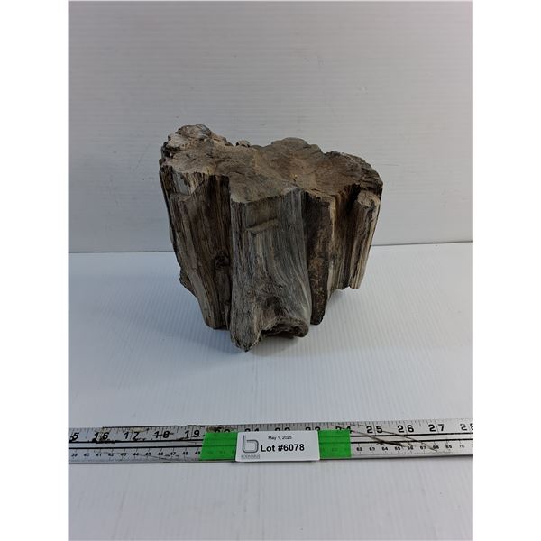Petrified Wood Garden Decoration