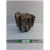 Image 1 : Petrified Wood Garden Decoration