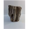 Image 3 : Petrified Wood Garden Decoration