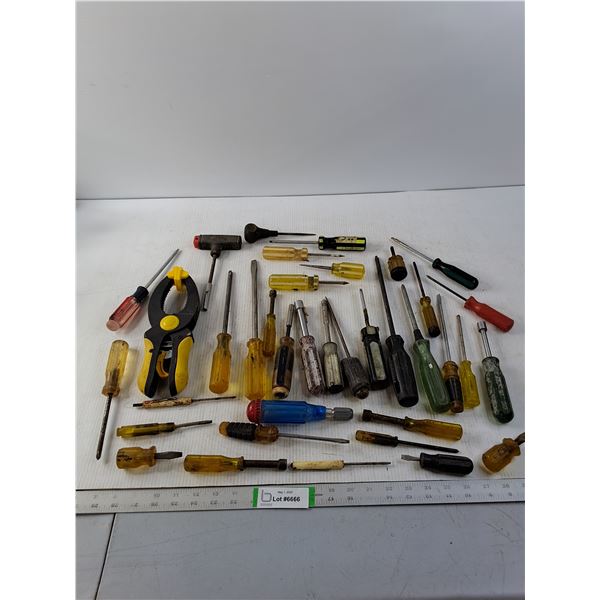 Assorted Screwdrivers and a Clamp