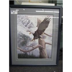 majestic Flight  Lep By Luke Raffin