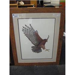 red Tailed Hawk  Lep Print