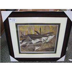 Group Of Seven "below Ragged Falls"