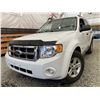 Image 1 : 100 -- 2009 FORD ESCAPE, WHITE, 253628 KMS, ALL WHEEL DRIVE