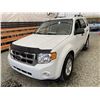 Image 3 : 100 -- 2009 FORD ESCAPE, WHITE, 253628 KMS, ALL WHEEL DRIVE