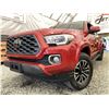 Image 1 : 0M -- 2020 TOYOTA TACOMA, RED, 18906 KMS, 4X4