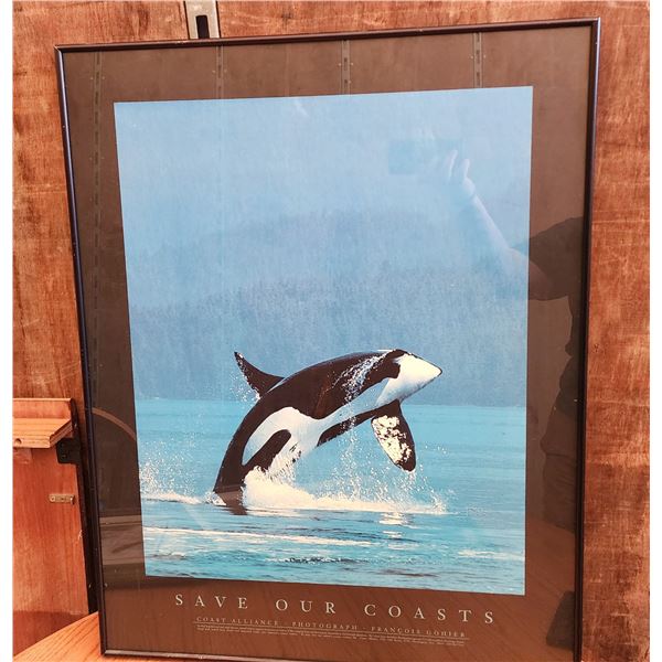 413 -- COASTAL ALLAINCE FRAMED POSTER