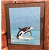Image 1 : 413 -- COASTAL ALLAINCE FRAMED POSTER