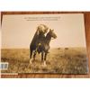 Image 2 : 415 -- EDWARD S CURTIS VISIONS OF THE FIRST AMERICANS PHOTO BOOK