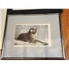 Image 2 : 419 -- POLAR BEAR FRAME, SEA OTTER FRAME AND AFRICAN ANIMALS FRAME
