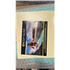 Image 2 : BODY GLOVE MODEL DAILY SOFT TOP FOAMIE SURFBOARD MINT/WHITE