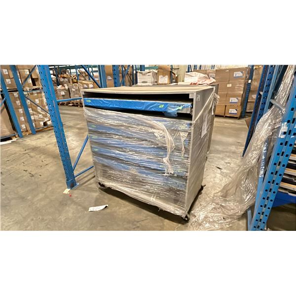 ROLLING CABINET FOR LARGE PAPER/PRINT STORAGE