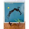 Image 1 : Steve Winwood _ Arc of a Diver