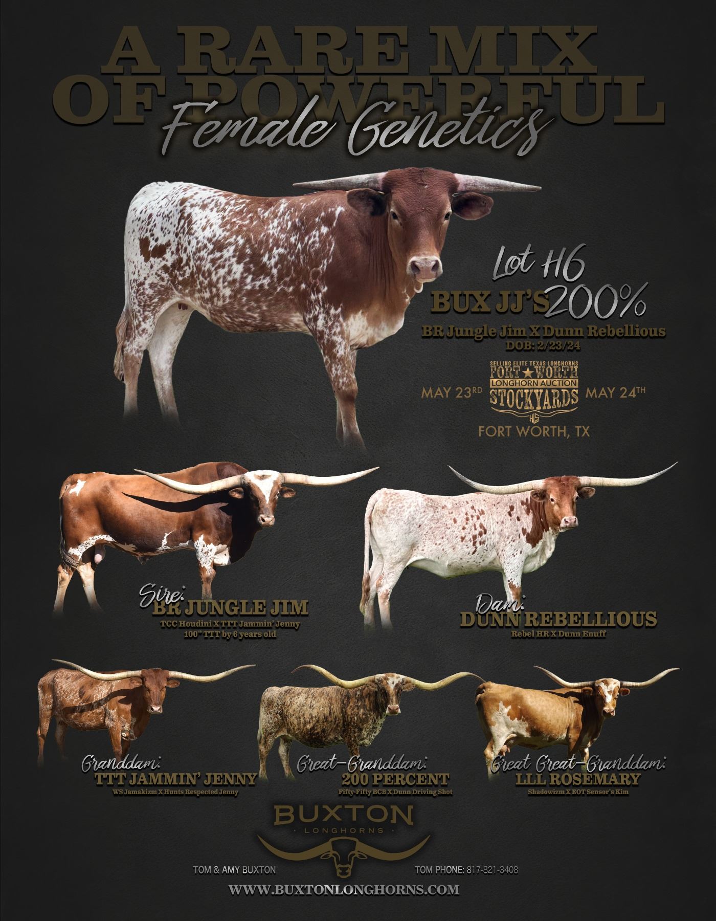 Bux JJ’s 200 Hired Hand Live