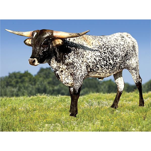 Double S Charlie's Angel