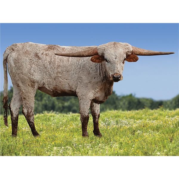 Fen - Wac Double Trouble