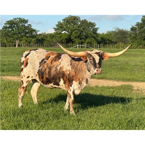 FHR 20G's GOT A GLEAM