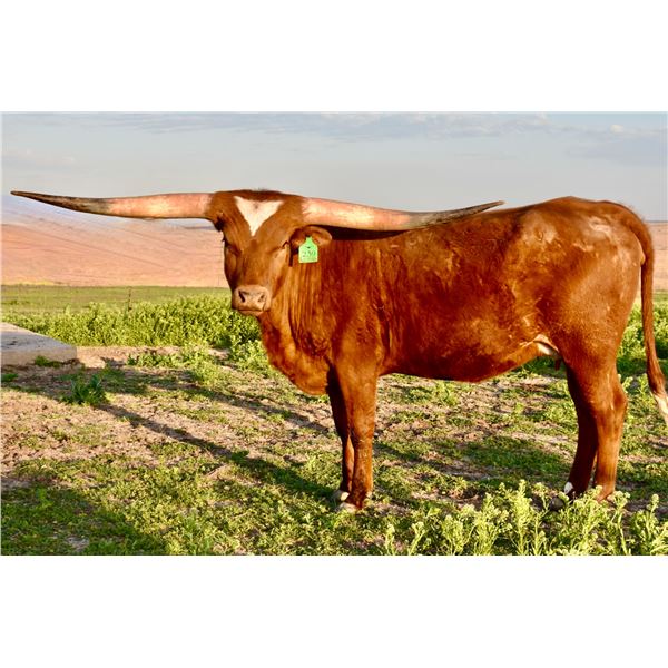 GLR MONIKAS HANGOUT GAL