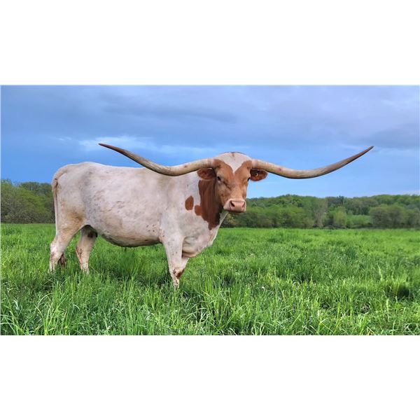 BCR Vintage Rose 992