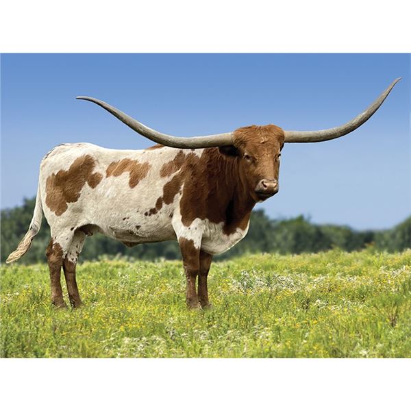 ATR ROSE GOLD CONFETTI