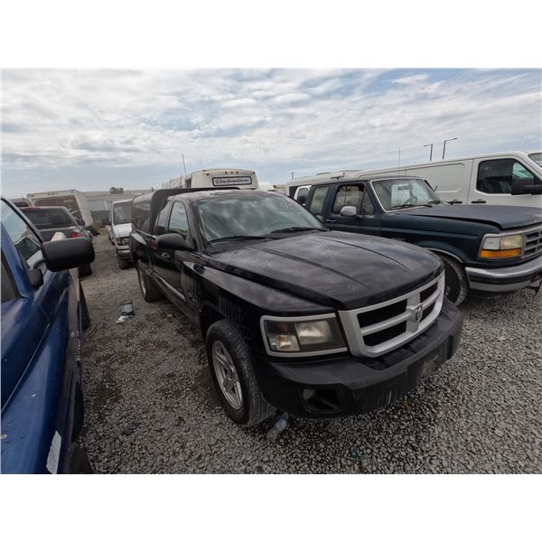 DODGE DAKOTA 2008 T-DONATION